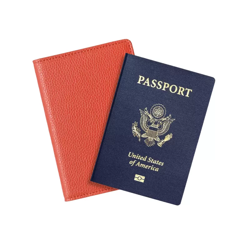 Sinco Leather RFID Blank Passport Holder